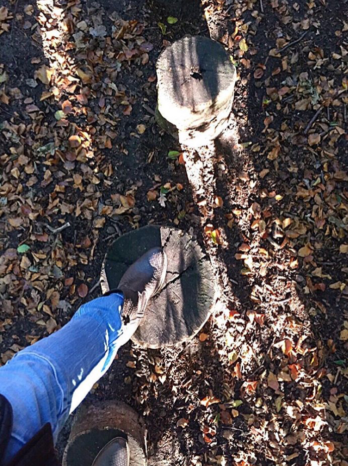 traject een krachtige start traject een krachtige start